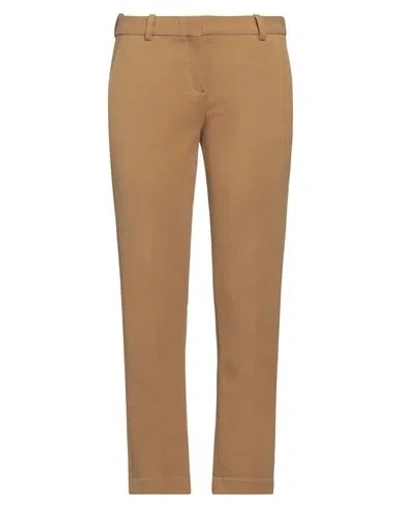 Circolo 1901 Woman Pants Mustard Size 8 Cotton, Elastane In Yellow