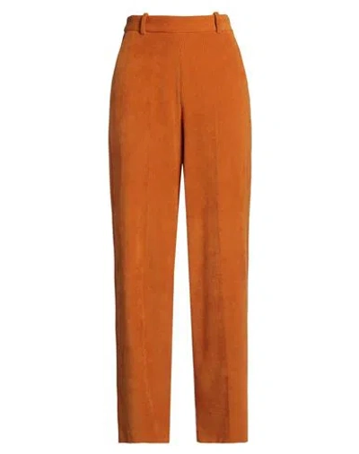 Circolo 1901 Woman Pants Orange Size 10 Cotton, Polyester