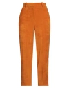 Circolo 1901 Woman Pants Orange Size 10 Cotton, Polyester