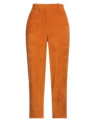 Circolo 1901 Woman Pants Orange Size 10 Cotton, Polyester