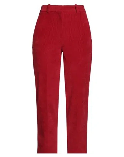 Circolo 1901 Woman Pants Red Size 8 Cotton, Polyester
