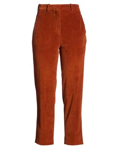 Circolo 1901 Woman Pants Rust Size 2 Cotton, Polyester In Red