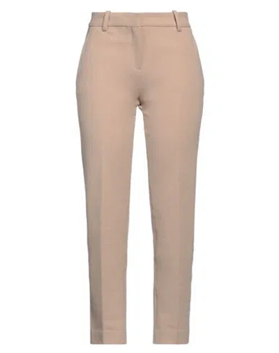 Circolo 1901 Woman Pants Sand Size 8 Cotton, Elastane In Beige