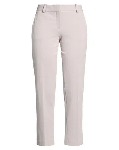 Circolo 1901 Woman Pants Taupe Size 6 Cotton, Lycra In Gray