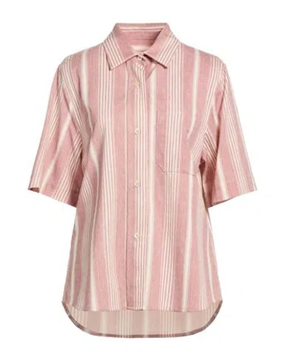 Circolo 1901 Woman Shirt Antique Rose Size M Cotton, Elastane In Pink