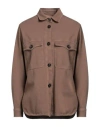 Circolo 1901 Woman Shirt Brown Size 12 Cotton In Brown