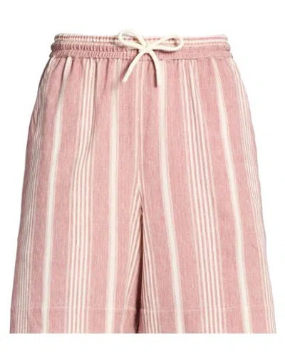 Circolo 1901 Woman Shorts & Bermuda Shorts Brick Size 6 Cotton, Elastane In Pink