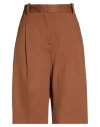 Circolo 1901 Woman Shorts & Bermuda Shorts Brown Size 2 Cotton, Elastane In Brown