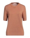 Circolo 1901 Woman Sweater Tan Size M Virgin Wool In Brown