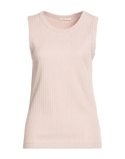 Circolo 1901 Woman Top Blush Size M Cotton, Elastane In Pink