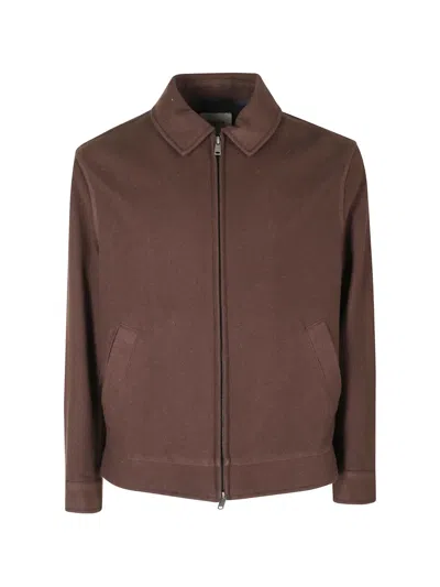 Circolo 1901 Zip-up Collared Jacket In Brown