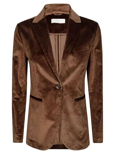 Circolo Rich Brown Paisley Velvet Jacket