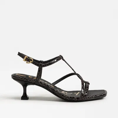 Circus By Sam Edelman Women's Jaida Kitten Heel Sandals In Dark Brown Snakeskin In Black