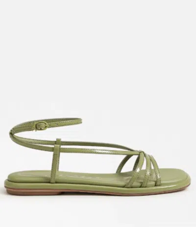 Circus By Sam Edelman Women's Olana Sandal In Fern Green In Multi