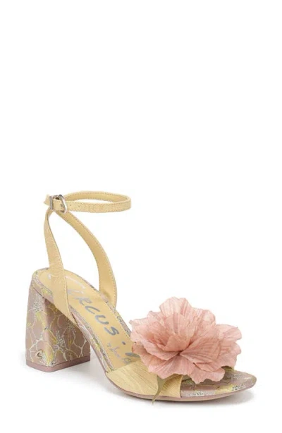 Circus Ny By Sam Edelman Aria Flower Ankle Strap Sandal In Multi