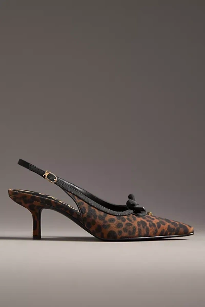 Circus Ny By Sam Edelman Cassidy Slingback Kitten Heels In Multicolor