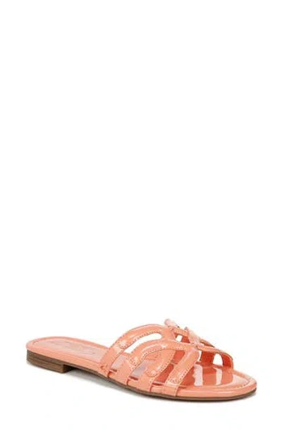 Circus Ny By Sam Edelman Cat Slide Sandal In Tangerine Dream