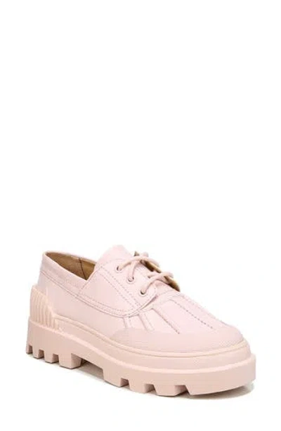 Circus Ny By Sam Edelman Circus By Sam Edelman Isa Sneaker In Ballet Pink