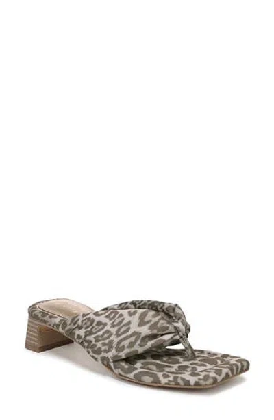 Circus Ny By Sam Edelman Colette Block Heel Sandal In Wildwood Brown