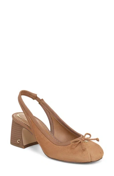 Circus Ny By Sam Edelman Diane Slingback Pump In Brown