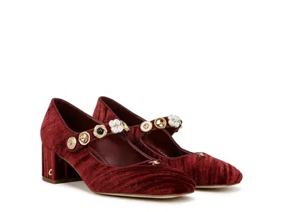 Circus Ny By Sam Edelman Elaine High In Burgundy