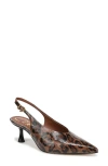 Circus Ny By Sam Edelman Fawn Pointed Toe Slingback Pump In Brown