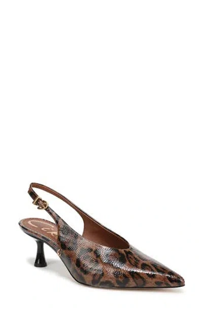 Circus Ny By Sam Edelman Fawn Pointed Toe Slingback Pump In Animal Print