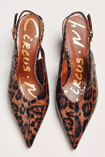 Circus Ny By Sam Edelman Fawn Slingback Pumps In Multi