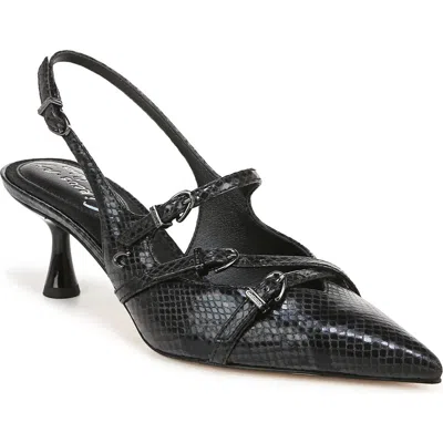 Circus Ny By Sam Edelman Fraya Slingback Pointed Toe Pump In Black Snake Multi