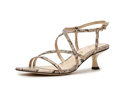 Circus Ny By Sam Edelman Jasmine In Brown
