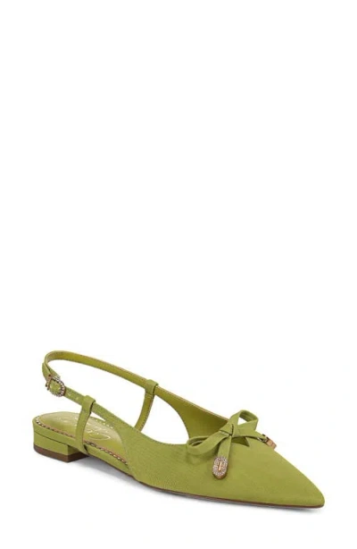 Circus Ny By Sam Edelman Lafayette Pointed Toe Slingback Sandal In Cactus