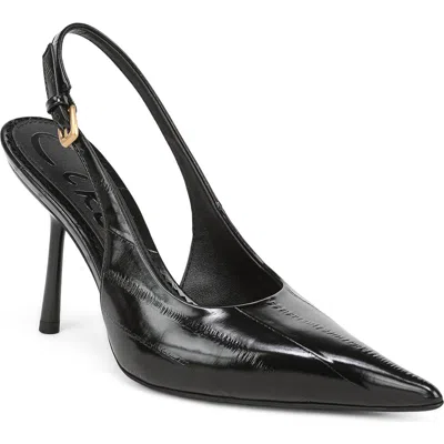 Circus Ny By Sam Edelman Oaklee Slingback Pump In Multi