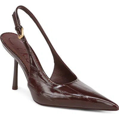 Circus Ny By Sam Edelman Oaklee Slingback Pump In Burgundy