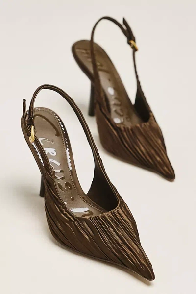 Circus Ny By Sam Edelman Oaklee Slingback Pumps In Brown