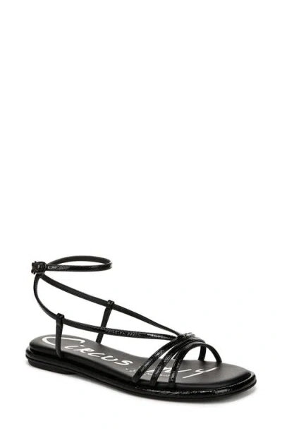 CIRCUS NY BY SAM EDELMAN CIRCUS NY BY SAM EDELMAN OLANA ANKLE STRAP SANDAL