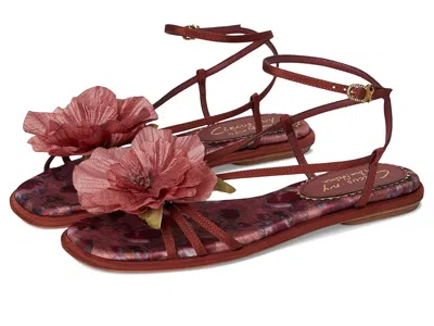 Circus Ny By Sam Edelman Olana Flower