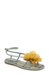 Circus Ny By Sam Edelman Olana Flower Strappy Flat Sandals In Cool Mint Multi