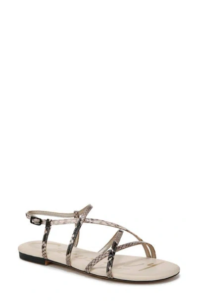 CIRCUS NY BY SAM EDELMAN CIRCUS NY BY SAM EDELMAN REBECCA ANKLE STRAP SANDAL