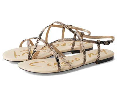 Circus Ny By Sam Edelman Rebecca In Brown