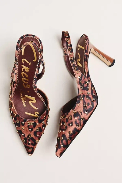 Circus Ny By Sam Edelman Tallie Studded Heels In Brown