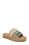 Circus Ny By Sam Edelman Wallis Slide Sandal In Rainbow Multi Raffia