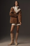 Circus Ny By Sam Edelman Yulia Knee-high Boots In Beige