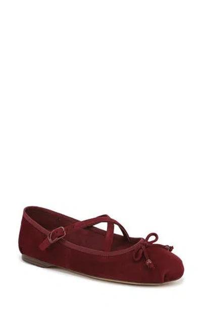 Circus Ny By Sam Edelman Zuri Strappy Ballet Flat In Burgundy