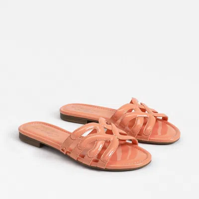 Circus.ny Women's Cat Slide Sandals In Tangerine In Orange
