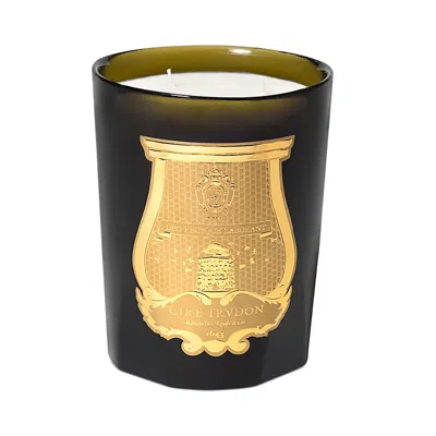 CIRE TRUDON ABD EL KADER INTERMEZZO CANDLE, MOROCCAN MINT TEA, 28 OZ.,800ABD14TRU