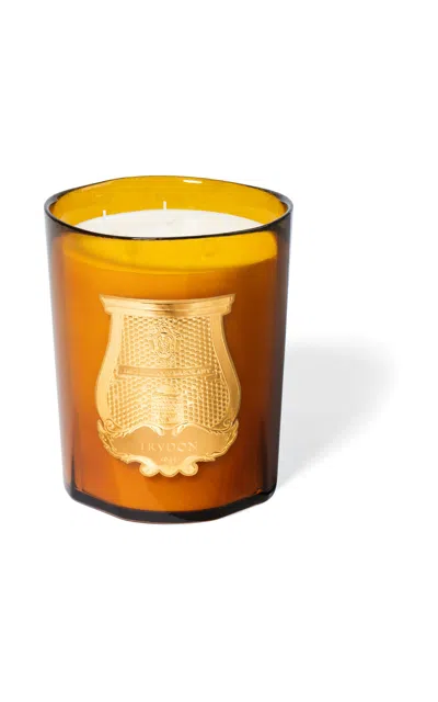 Cire Trudon Altaïr Grande Candle In Brown