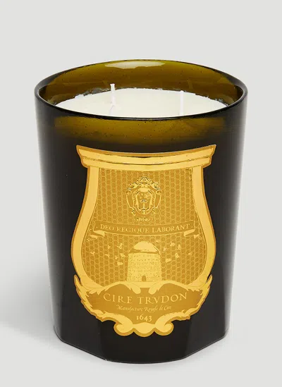 Cire Trudon Cyrnos Large Candle In Green