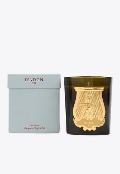 Cire Trudon Madeleine Scented Candle In Green