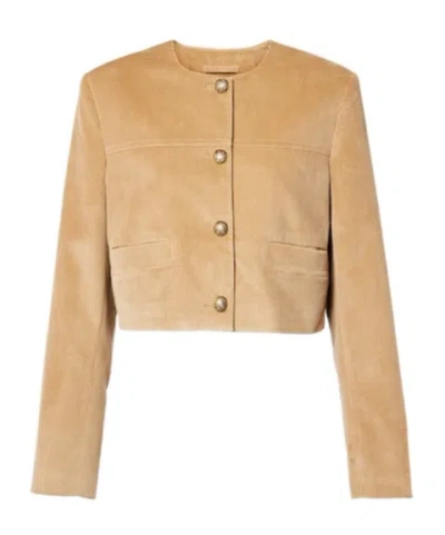 Citizen Of Humanity Pia Cropped Cotton Corduroy Jacket In Brown