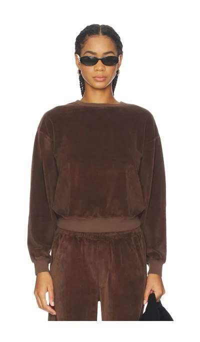 Citizen Of Humanity Vintage Crewneck In Brown